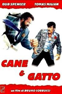 Cane e gatto 